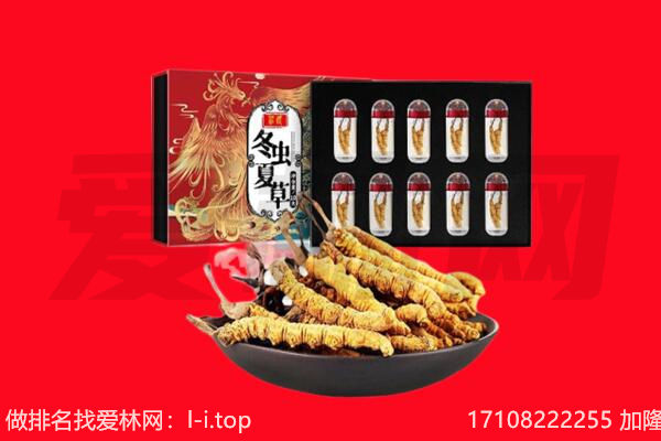 沈阳沈河区回收虫草.jpg